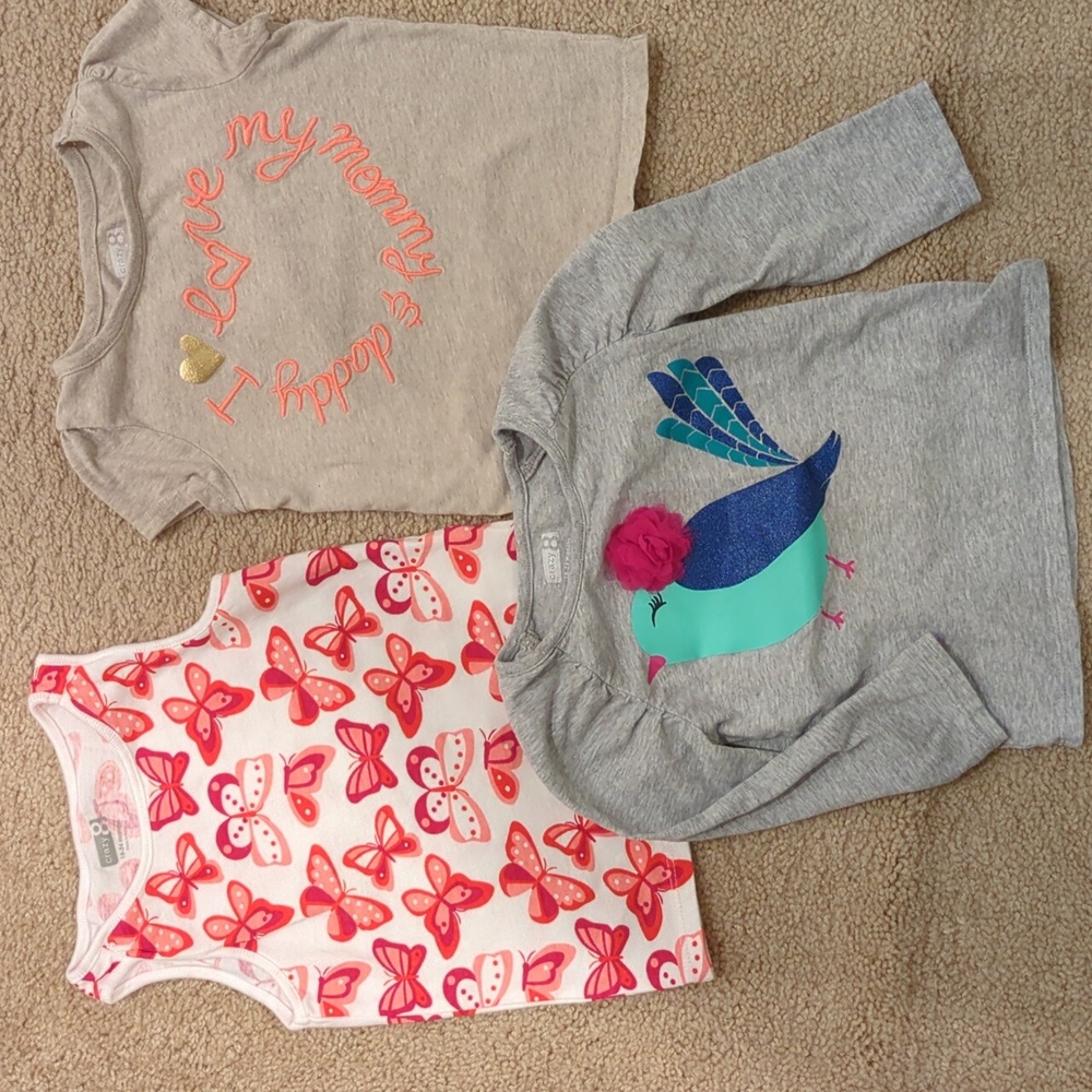 Crazy 8 Gray Long Sleeve Shirt with Colorful Bird Graphic